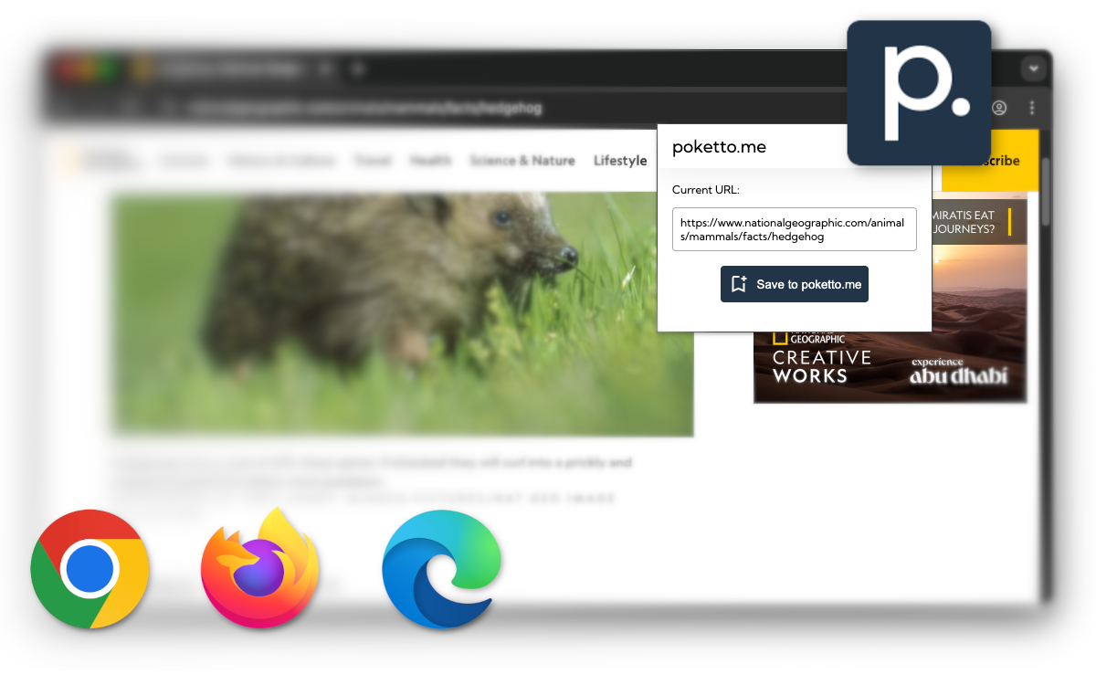 Save content that matters